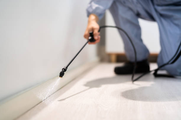Professional exterminator conducting IPM assessment in College Place