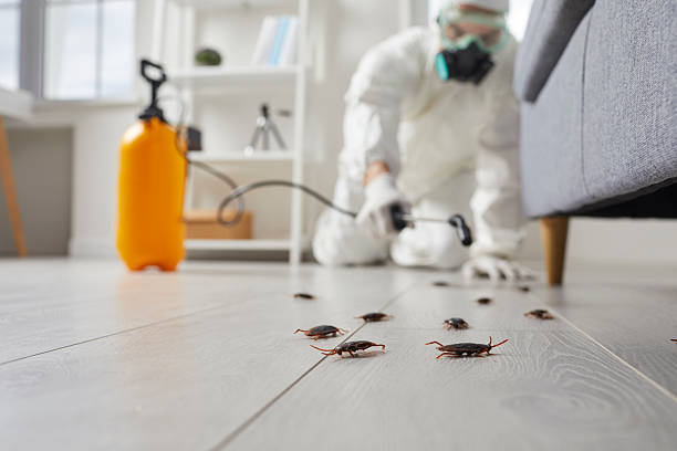 Post-Treatment Bed Bug Interceptor Monitoring in College Place