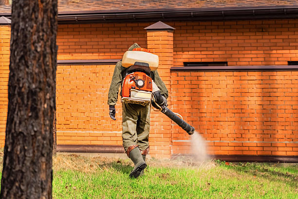 Bed Bug Clearance Verification and Documentation in College Place